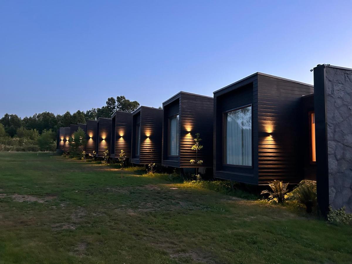 Mawuen Lodge Pucón Dış mekan fotoğraf